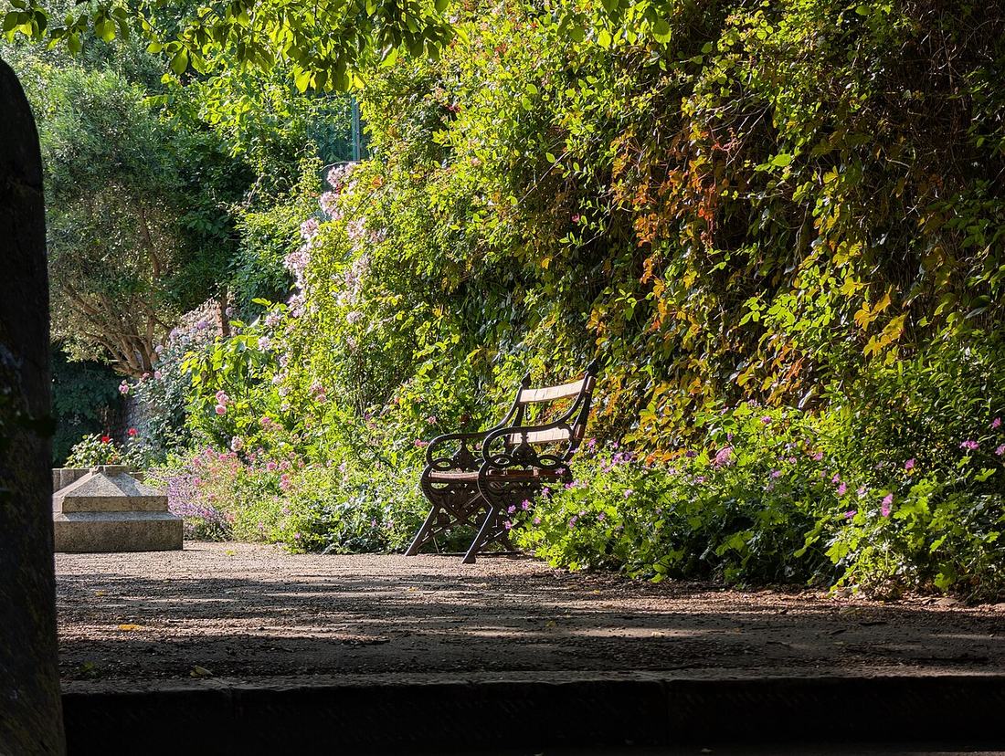 A bench in a quiet garden
