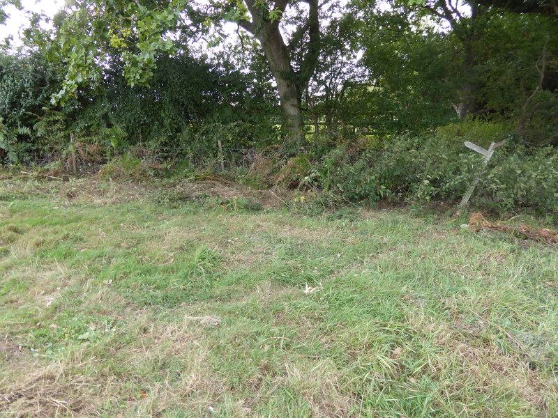 A tilted signpost at a field corner