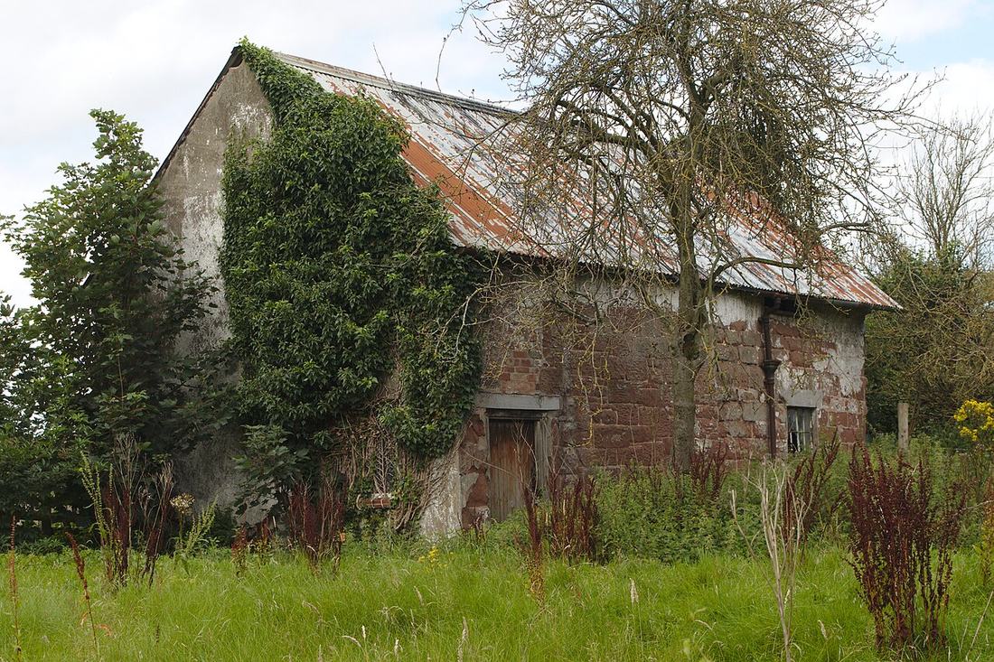 A cottage in the countryside