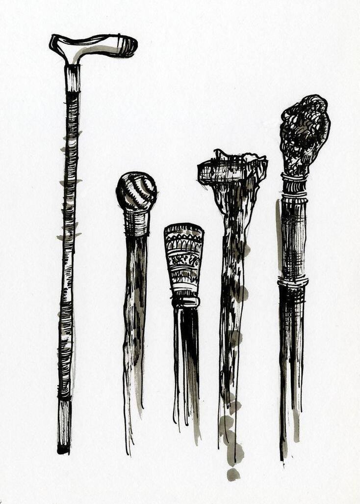 A walking stick